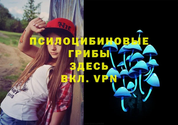 mdpv Липки