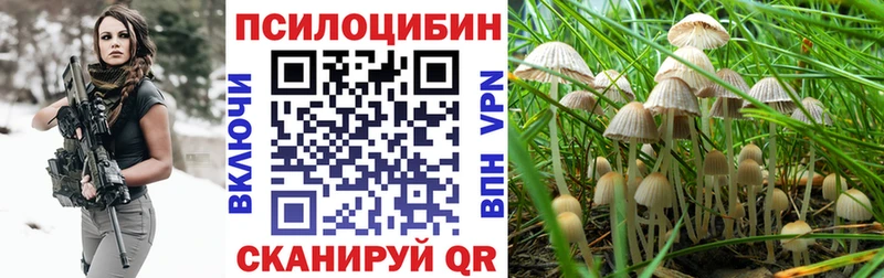 как найти   Ядрин  Псилоцибиновые грибы MAGIC MUSHROOMS 